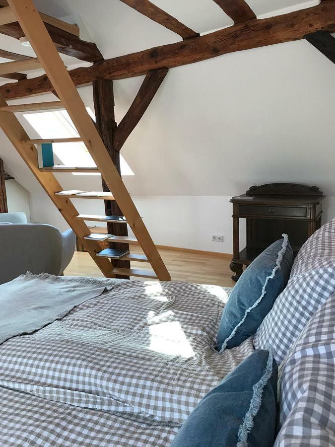 Apartmán Fuxbau Neustadt an der Weinstraße Exteriér fotografie